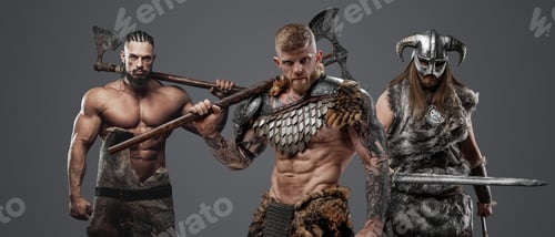 Preview: Ancient three fierce vikings with fur and weapons