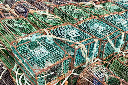 Preview: Background of Crab fishing pots