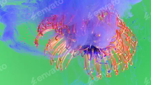 Preview: Abstract Floral Art with Blue and Red Ink