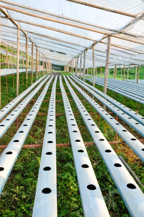 Preview: Hydroponics vegetable farm