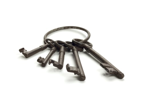Preview: Closeup shot of a bunch of old rusty keys isolated on a white background