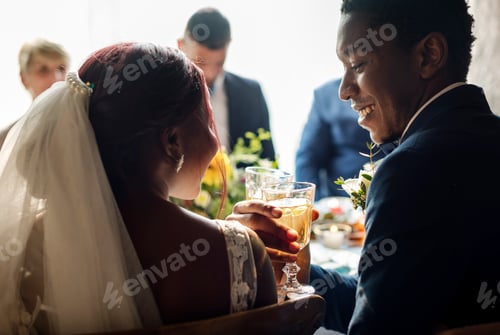 Preview: Bride and Groom Clinking Glasess Wedding Reception