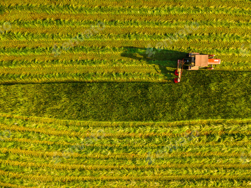 Preview: Abstract View of Tractor Haymaking in Meadow
