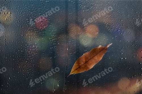 Preview: Water texture background, brown leaf on glass window