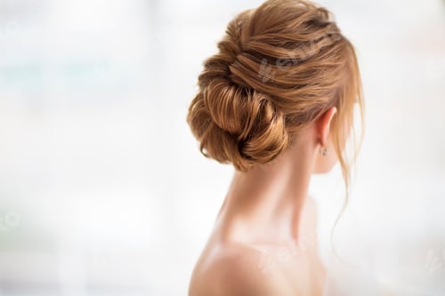Preview: Woman with Elegant Updo Hairstyle from Behind
