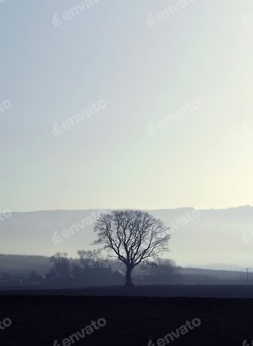 Preview: misty morning sunrise