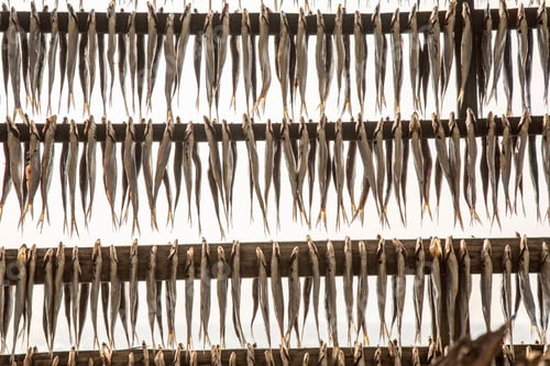 Preview: Fish drying, Lake Iseo, Lombardy, Italy