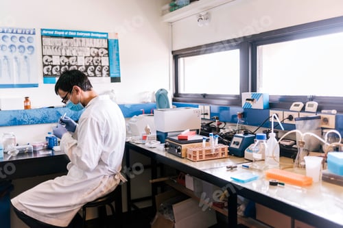 Preview: Male Scientist working in the laboratory