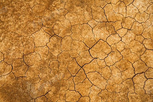 Preview: Cracked mud