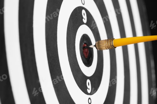 Preview: dartboard business success concept