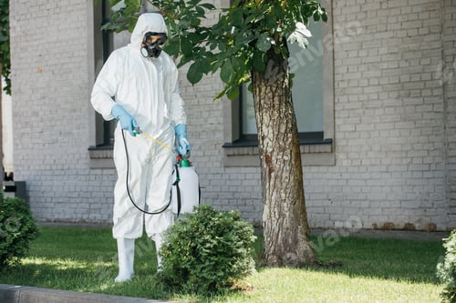 Preview: pest control worker spraying pesticides on bush