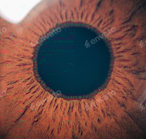 Preview: Extreme close up or Marco photo of brown iris useful for ophthalmology or optometry imagery