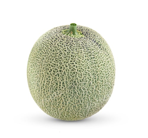 Preview: cantaloupe melon on white background