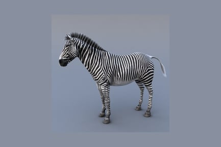 Preview: Zebra with striped coat in profile view