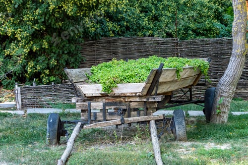 Preview: A wooden cart, a flower decoration. Sunny autumn day. Front view.