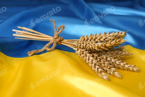 Preview: Bunch of wheat on Ukrainian national flag