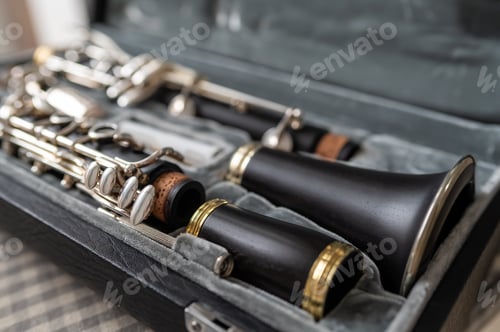 Preview: A black clarinet rests in an open case with a plush interior.