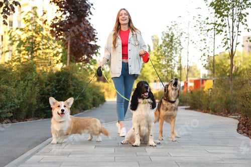 Preview: Young woman walking adorable dogs in park