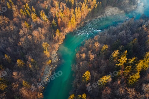 Preview: Flying over an autumn forest and river