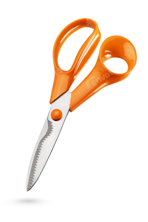 Preview: Kitchen scissors or shears isolated on white