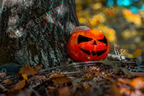 Preview: Halloween Pumpkin in the Forest. Scary pumpkin decorations with creepy toothy smile at wood