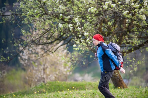 Preview: Traveler woman with a backpack near blooming tree