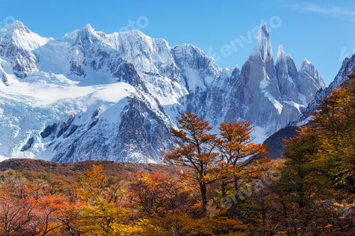 Preview: Cerro Torre