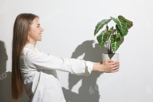 Preview: girl holding a flowerpot with a flower close-up on a white background