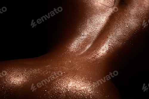 Preview: The sexy landscape.