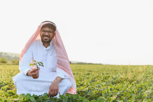 Preview: Arab farmer inspecting soybean plant in cultivated field