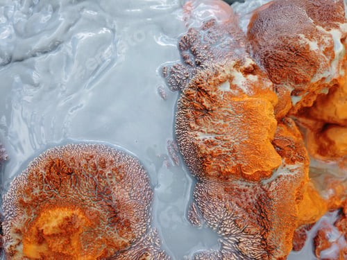 Preview: Crystals and minerals precipitating from residual gold mining leach waters