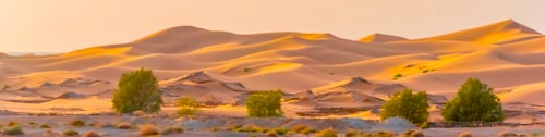 Preview: Panoramic view of the Sahara Desert in Marocco