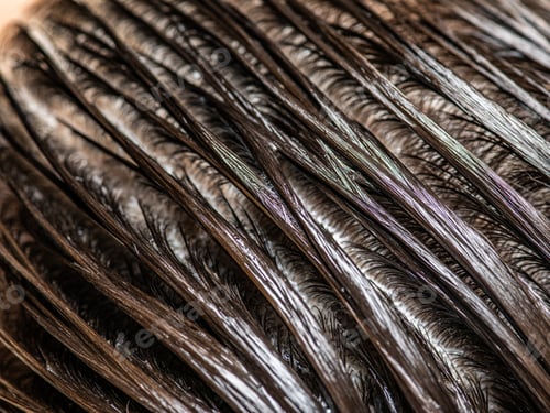 Preview: Beautiful wet long hair of a girl. Hair coloring in a beauty salon. Concept of hair care.