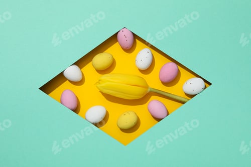Preview: Chocolate eggs with a yellow fresh tulip