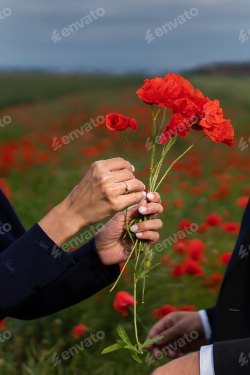 Preview: A man gives the flowers to his wife in the flower field