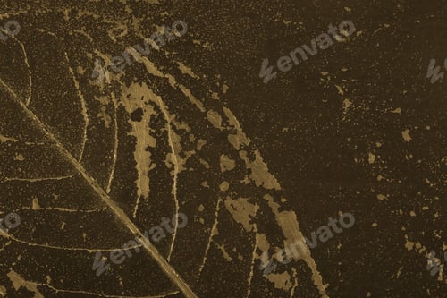 Preview: Autumn Leaves Background Image There Is A Place To Write