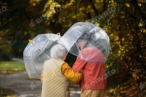 Preview: Rear view of senior couple walking with umbrellas in city park together.