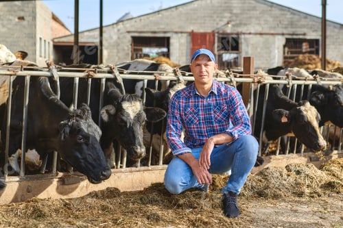 Preview: Portrait Of A Man On Livestock Ranches