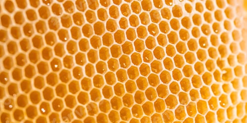 Preview: honeycomb macro. Background texture and pattern of a section of wax honeycomb. Long banner format