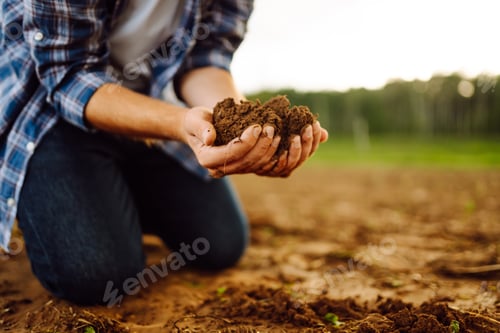 Preview: Close-up of a farmer's strong hands on a black field. Concept of gardening, ecology.