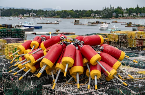 Preview: Lobster Trap Buoys in Maine