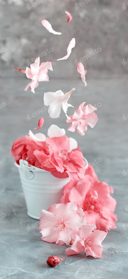 Preview: White bucket full of pink flowers on a grey table