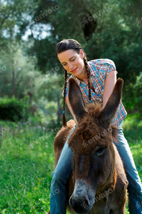 Preview: Woman enjoying time with a donkey in a sunny meadow.