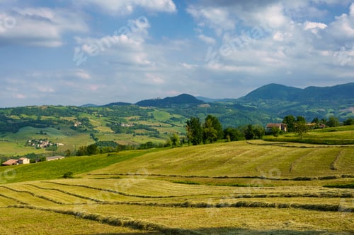 Preview: Rural landscape near Pianello Val Tidone, Emilia-Romagna, at May