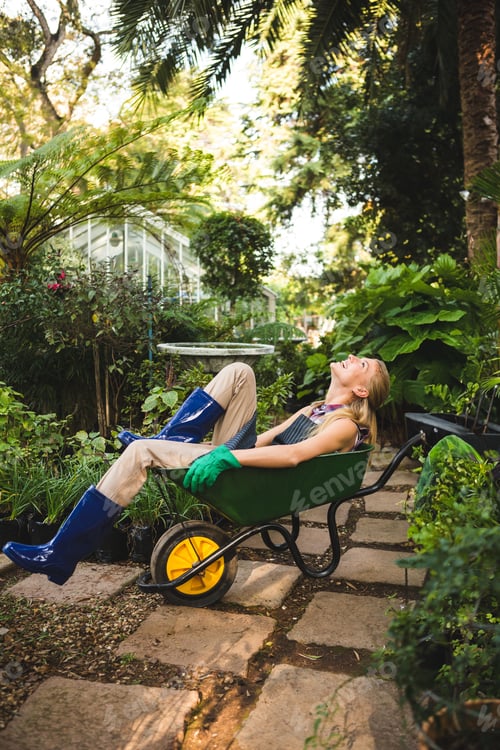 Preview: Green wheelbarrow is resting on stone pathway amid lush foliage with greenhouse peeking through