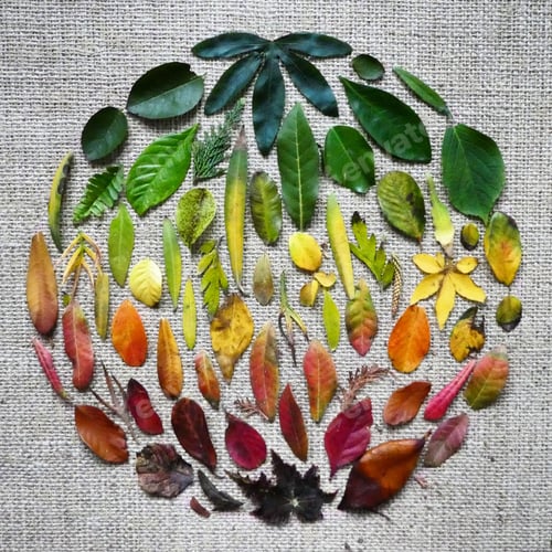 Preview: Seasons change,creative design made with natural leaves