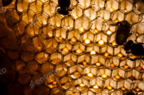 Preview: Texture and pattern of honeycomb, Abstract background