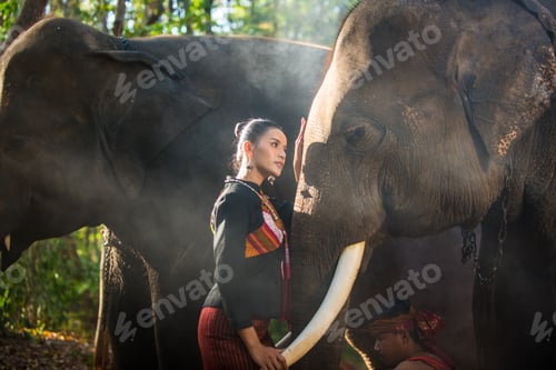 Preview: Elephant and woman in Thailand