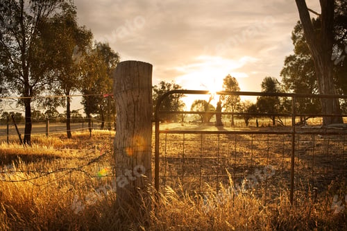 Preview: Sunset on Farm