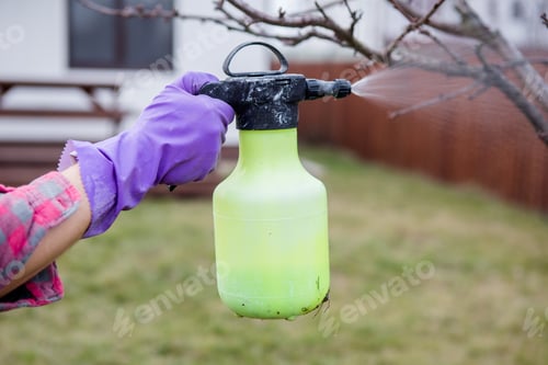 Preview: spraying poison from a spray bottle, hands close-up.